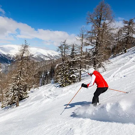 Appartement Steinwender Biedermeier Feld am See